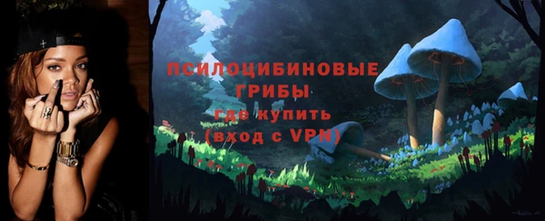 бошки Зеленодольск