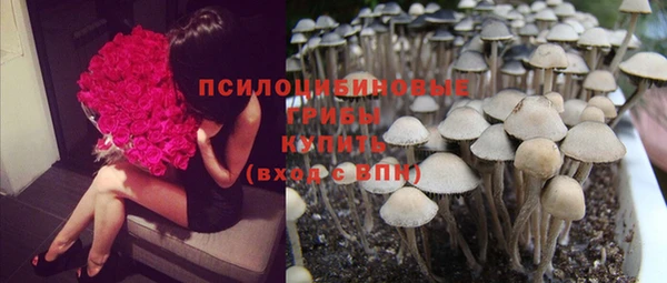 бошки Зеленодольск