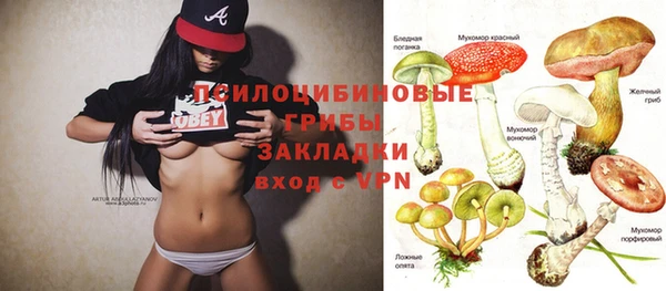бошки Зеленодольск